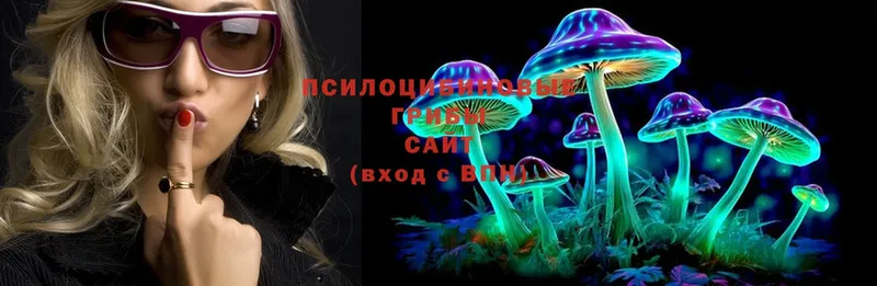 Галлюциногенные грибы Psilocybine cubensis Подольск